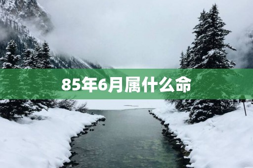 85年6月属什么命