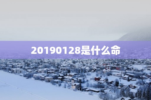 20190128是什么命