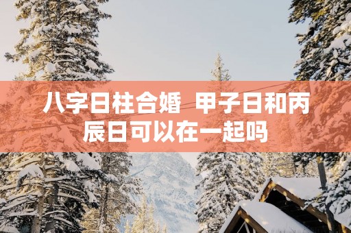 八字日柱合婚  甲子日和丙辰日可以在一起吗