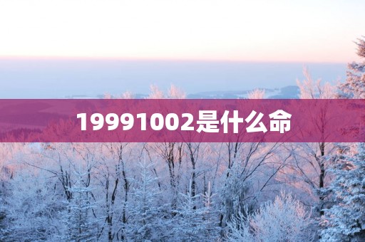 19991002是什么命