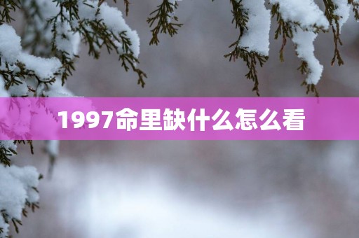 1997命里缺什么怎么看