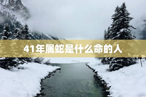 41年属蛇是什么命的人