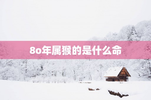 8o年属猴的是什么命