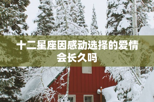 十二星座因感动选择的爱情会长久吗