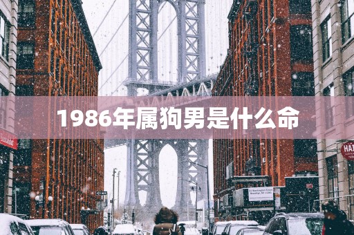 1986年属狗男是什么命