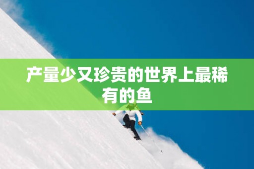 产量少又珍贵的世界上最稀有的鱼