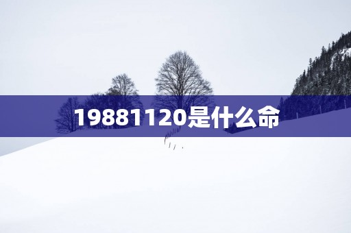 19881120是什么命
