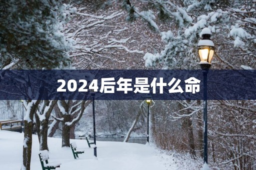 2025后年是什么命
