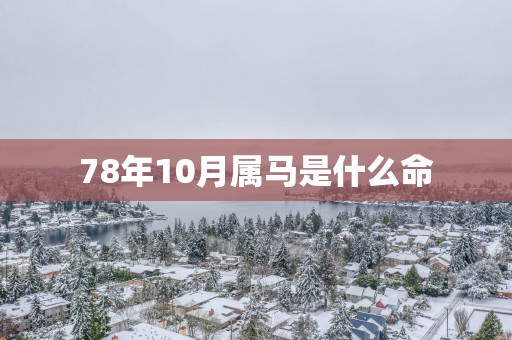 78年10月属马是什么命