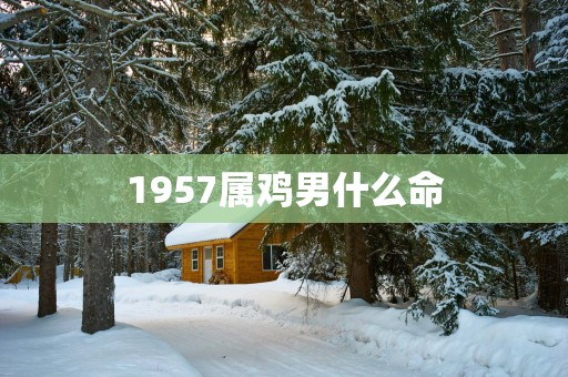 1957属鸡男什么命