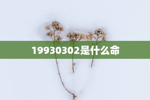 19930302是什么命
