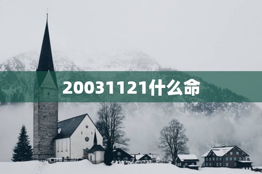 20031121什么命