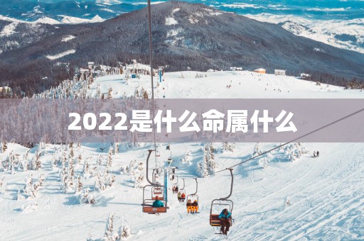 2025是什么命属什么