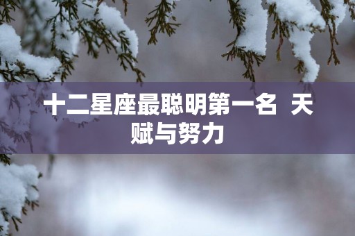 十二星座最聪明第一名  天赋与努力