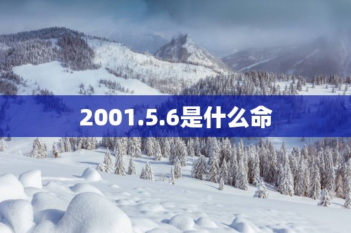 2001.5.6是什么命