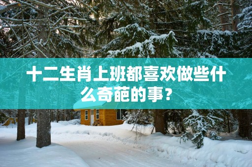 十二生肖上班都喜欢做些什么奇葩的事？