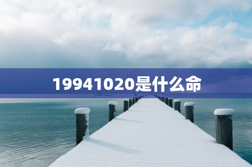 19941020是什么命