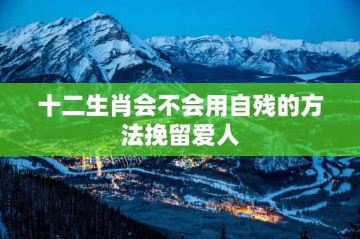 十二生肖会不会用自残的方法挽留爱人