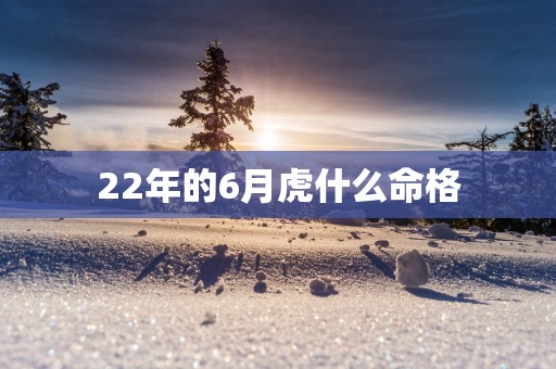 22年的6月虎什么命格