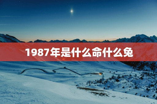 1987年是什么命什么兔