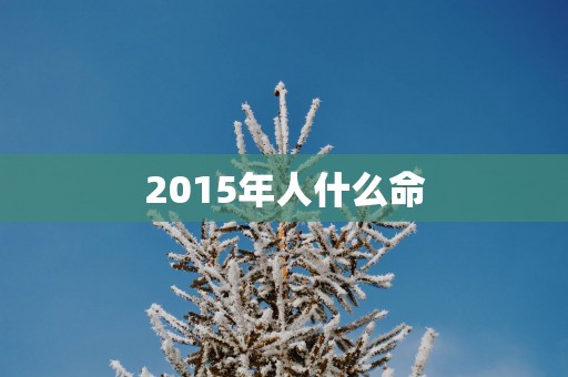2015年人什么命