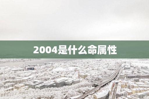 2004是什么命属性