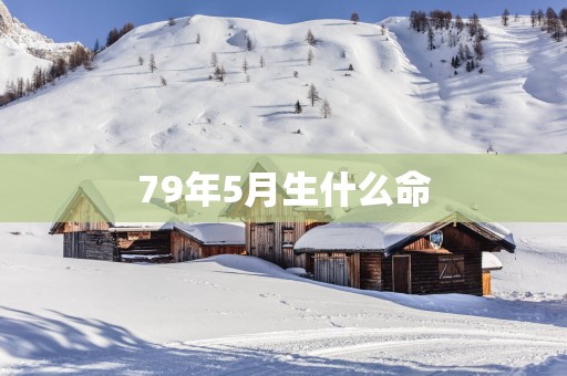 79年5月生什么命