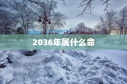 2036年属什么命