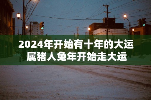 2025年开始有十年的大运 属猪人蛇年开始走大运