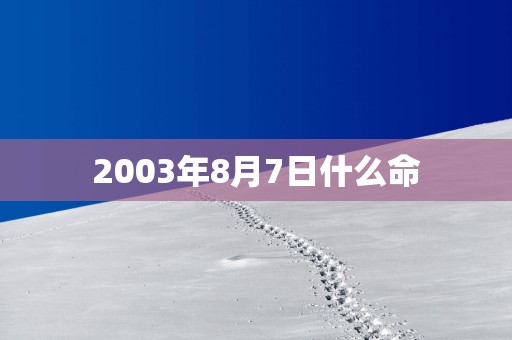 2003年8月7日什么命
