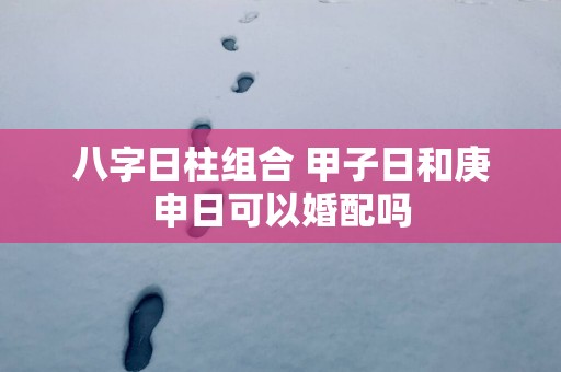八字日柱组合 甲子日和庚申日可以婚配吗