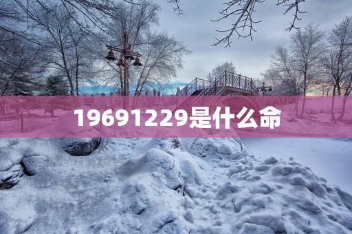 19691229是什么命