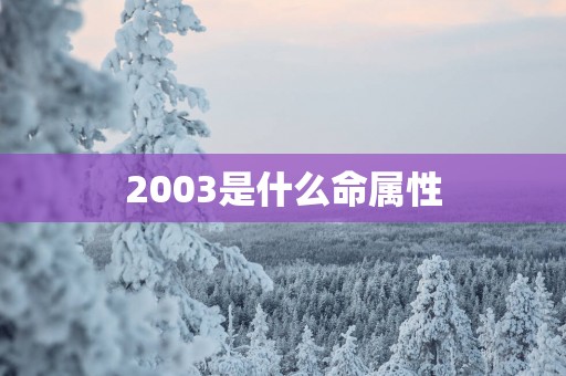 2003是什么命属性