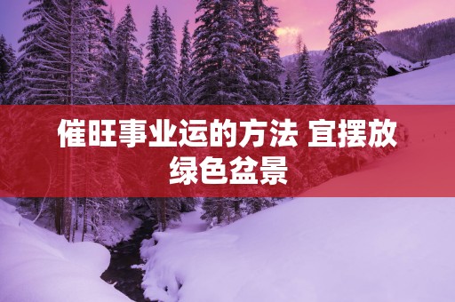 催旺事业运的方法 宜摆放绿色盆景