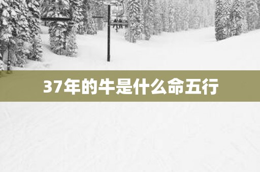37年的牛是什么命五行