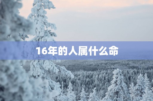 16年的人属什么命