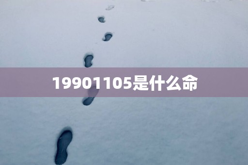 19901105是什么命