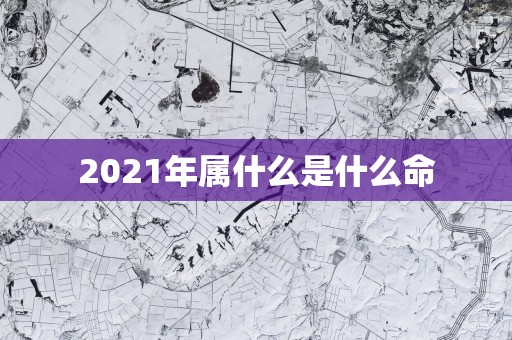 2025年属什么是什么命