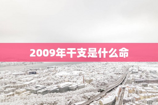 2009年干支是什么命