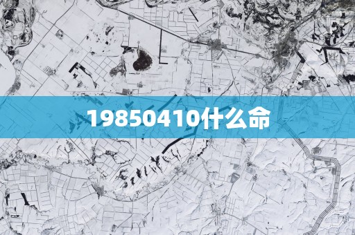 19850410什么命