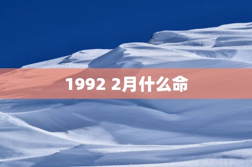 1992 2月什么命