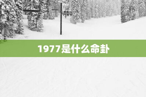 1977是什么命卦
