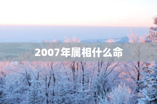 2007年属相什么命