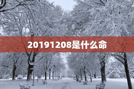 20191208是什么命