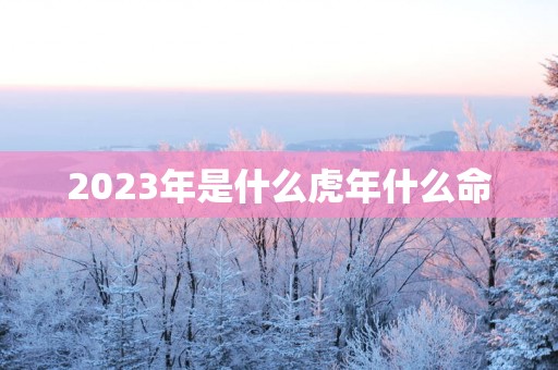 2025年是什么蛇年什么命