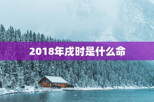 2018年戌时是什么命