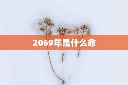2069年是什么命