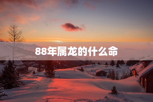 88年属龙的什么命