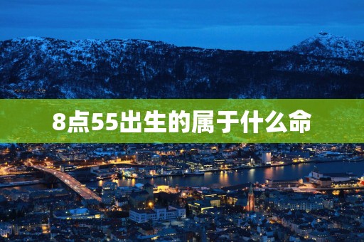 8点55出生的属于什么命