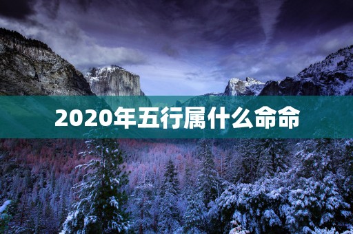 2025年五行属什么命命